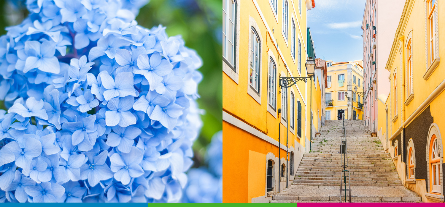 Mainland Portugal &lt;&gt; Azores from €47 (one-way)
