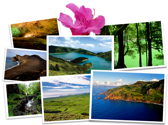 Landscapes of Azores