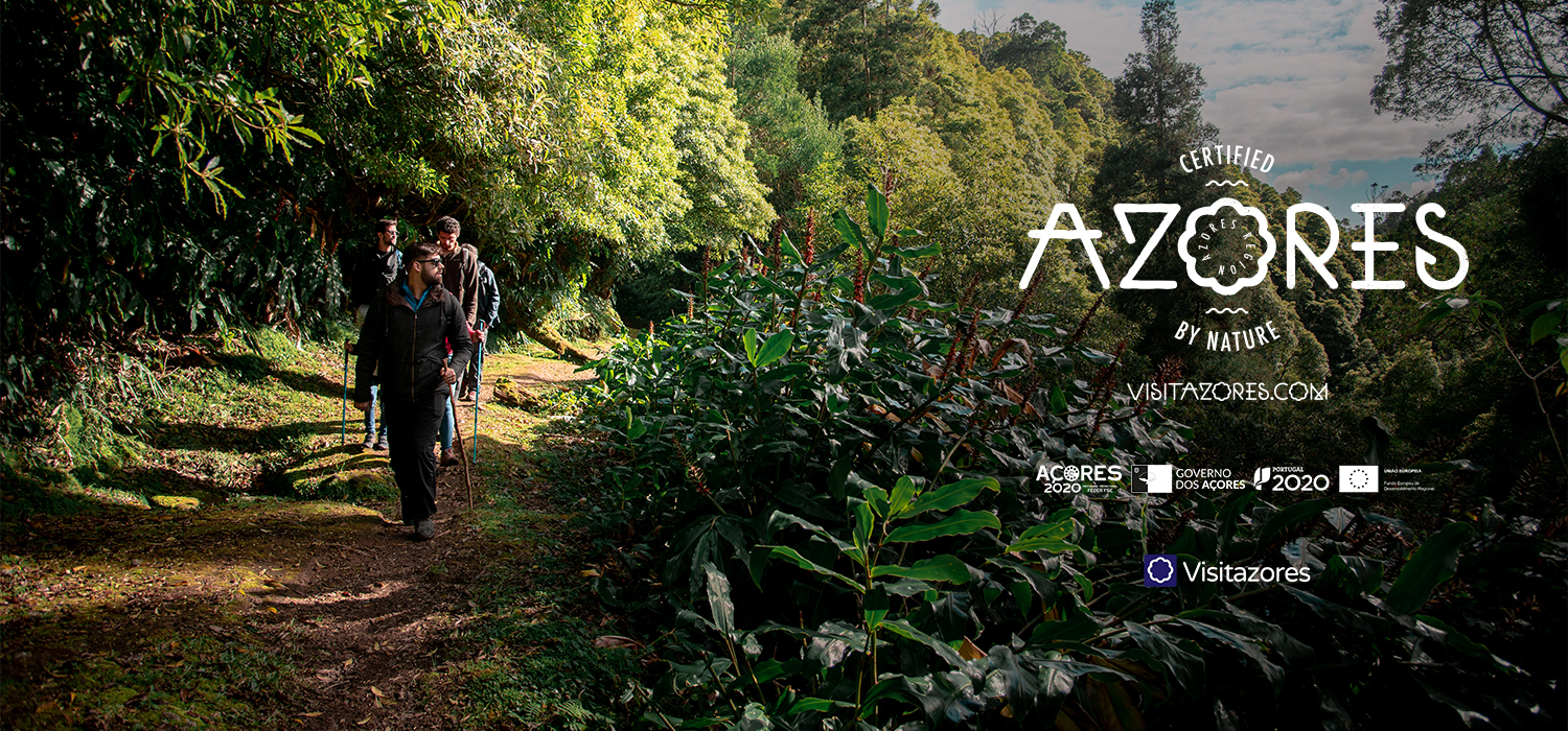 Explore the trails network in the Azores