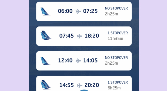 Flights schedules