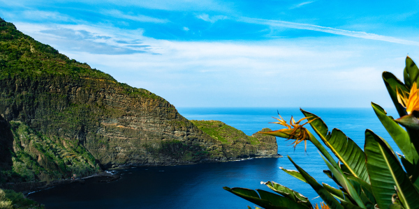 Vista sobre o oceano, Funchal