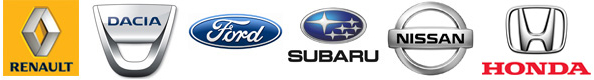 Automobile brands represented by Ilha Verde Group
