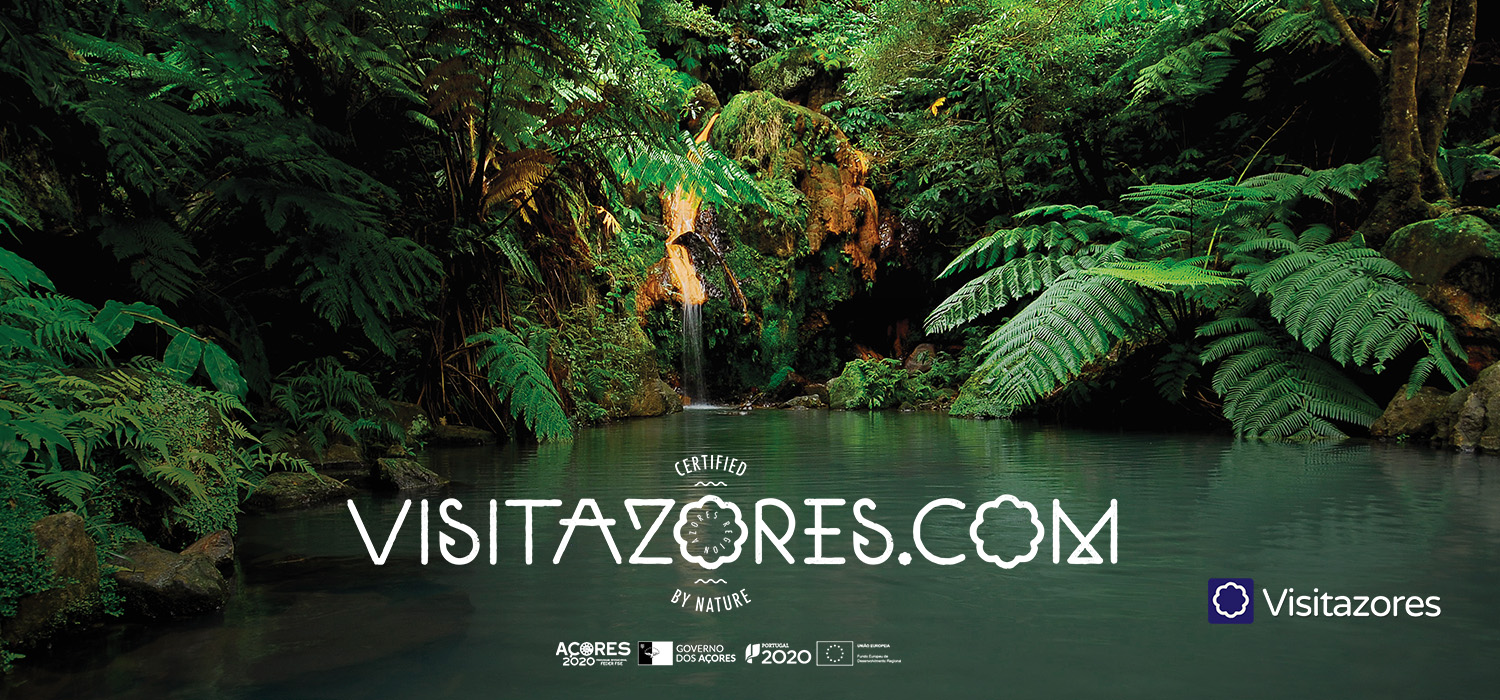Relax in the thermal waters of the Azores